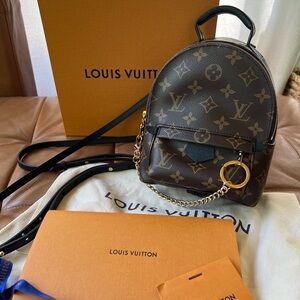 Louis Vuitton Palm Springs Mini